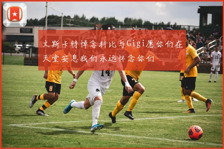 文斯卡特悼念科比与Gigi愿你们在天堂安息我们永远怀念你们